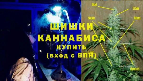 spice Алексин