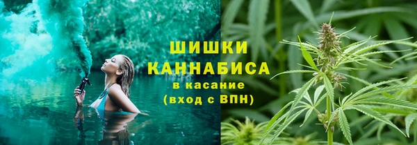 соль ск Алексеевка