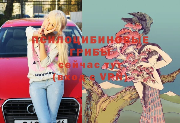 соль ск Алексеевка