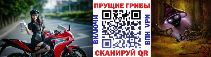 omg рабочий сайт  где можно купить   Осинники  Псилоцибиновые грибы Magic Shrooms 