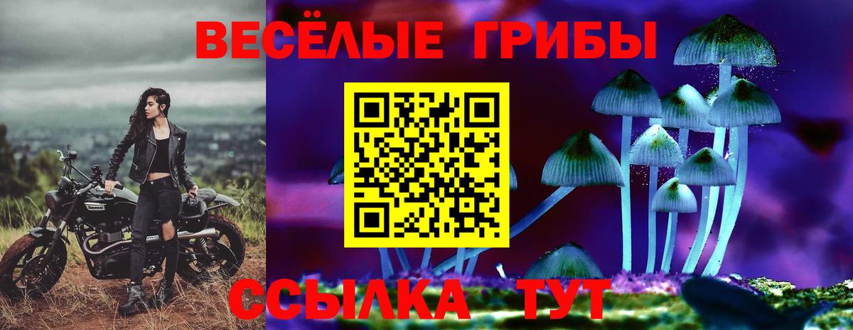 Галлюциногенные грибы Psilocybine cubensis  Вход с VPN  Осинники  Галлюциногенные грибы Cubensis 