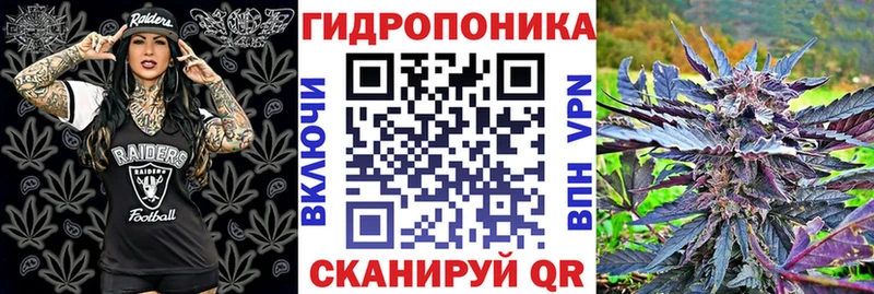 Марихуана Bruce Banner купить закладку Осинники